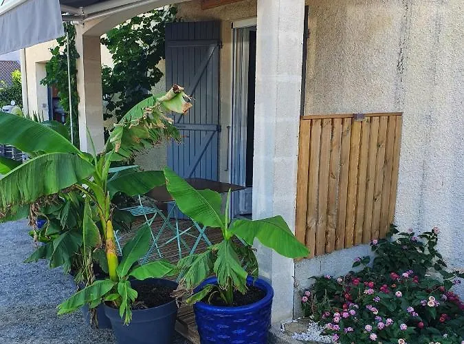 T2 Jusqu'a 4 Personnes En Rez-de-jardin De Maison, Avec Piscine, Draps Et Serviettes De Toilette Fournis Apartment *